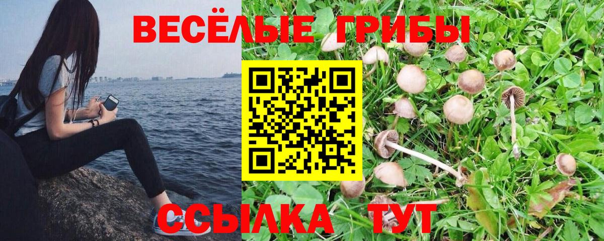 Псилоцибиновые грибы Psilocybine cubensis  Вход с VPN  Бузулук  где можно купить наркотик  Галлюциногенные грибы GOLDEN TEACHER 